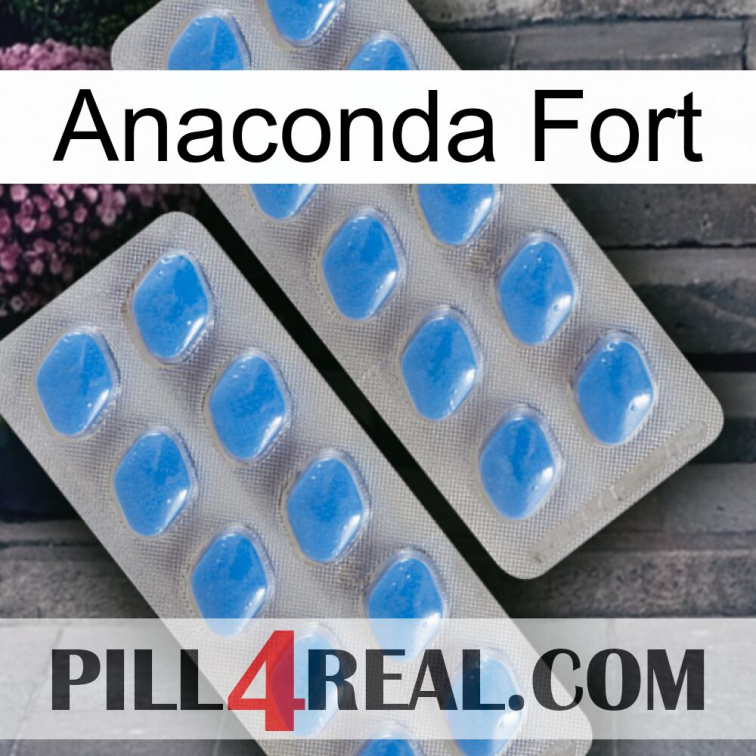 Anaconda Strong 23